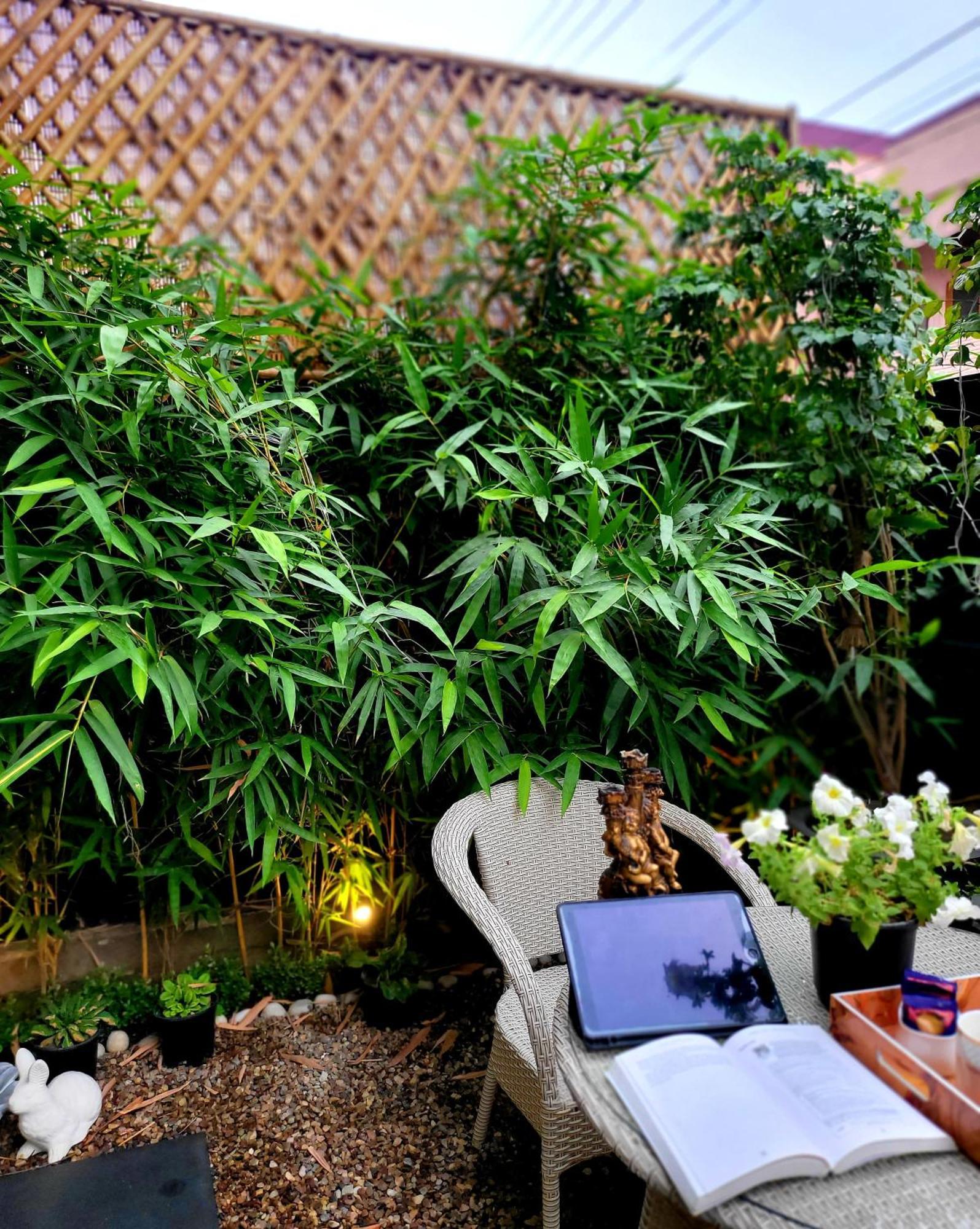 Victorian Elegance Luxury Stays Amritsar Buitenkant foto